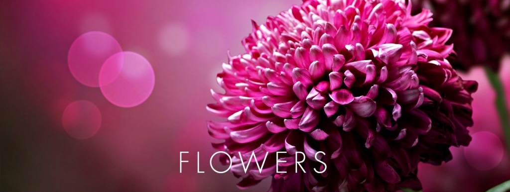 flowers_sl